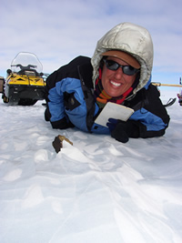  Chabot in Antarctica, gathering meteorites