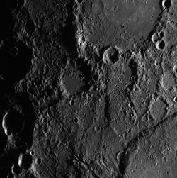 Discovering New Rupes on Mercury