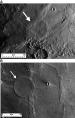 Wrinkle-Ridge Rings on Mercury and Mars